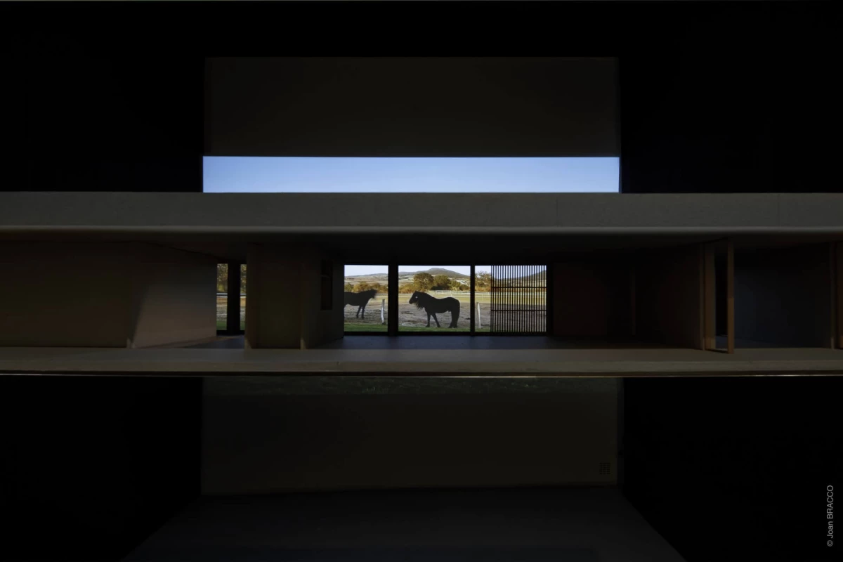 joan-bracco-expo-2019-21-1900x1266