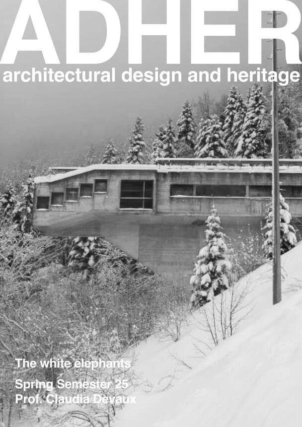 adher_the_white_elephants_ss25__vertic.jpg__608x860_q80_crop_subsampling-2